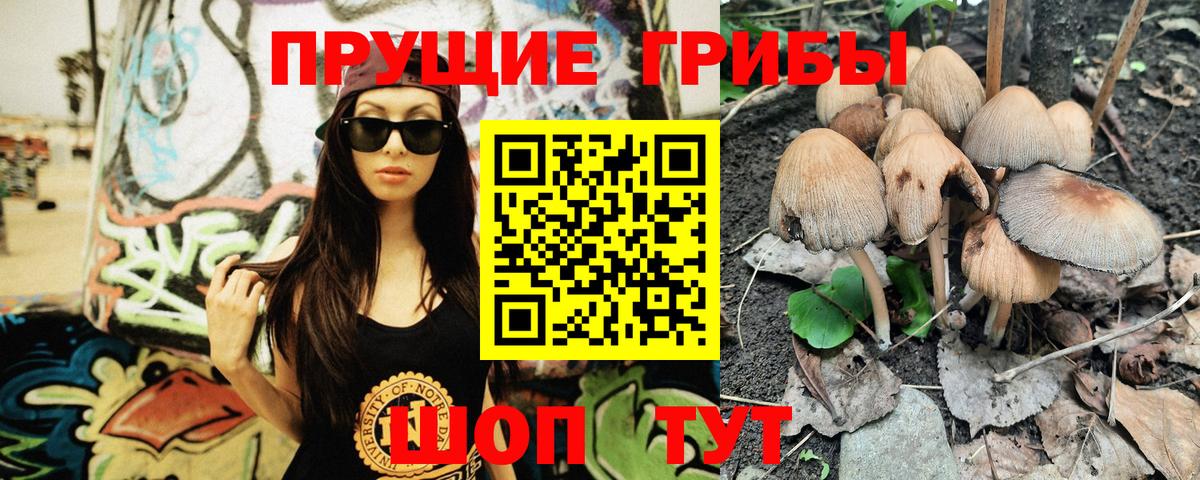 Псилоцибиновые грибы мицелий  Вход с VPN  Шали  Псилоцибиновые грибы GOLDEN TEACHER 